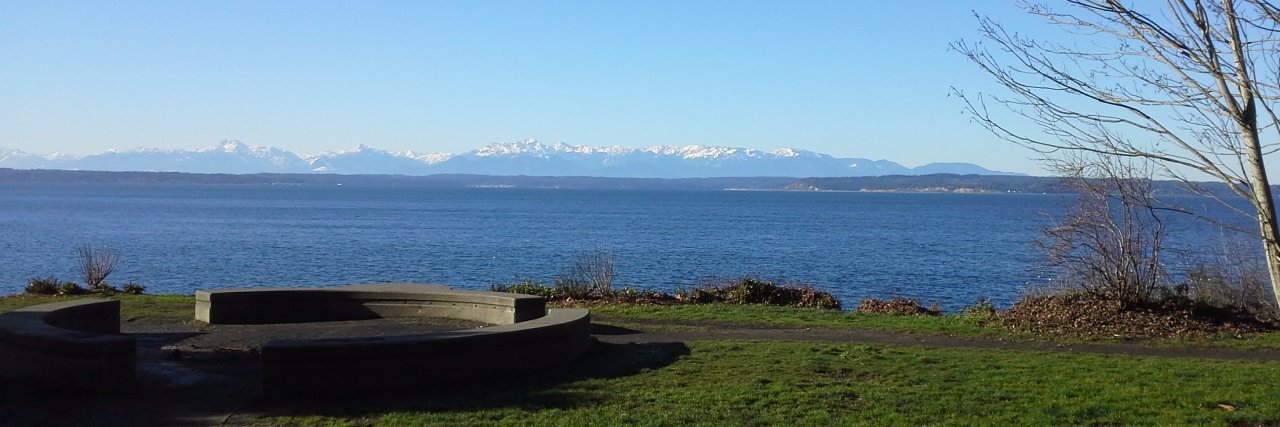 Hossein Fazel banner