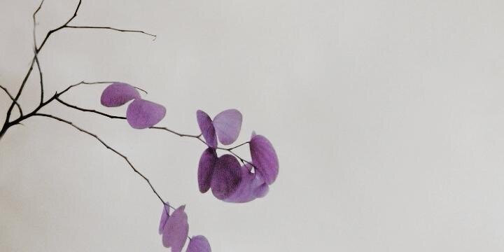 dee_dinda's profile banner image