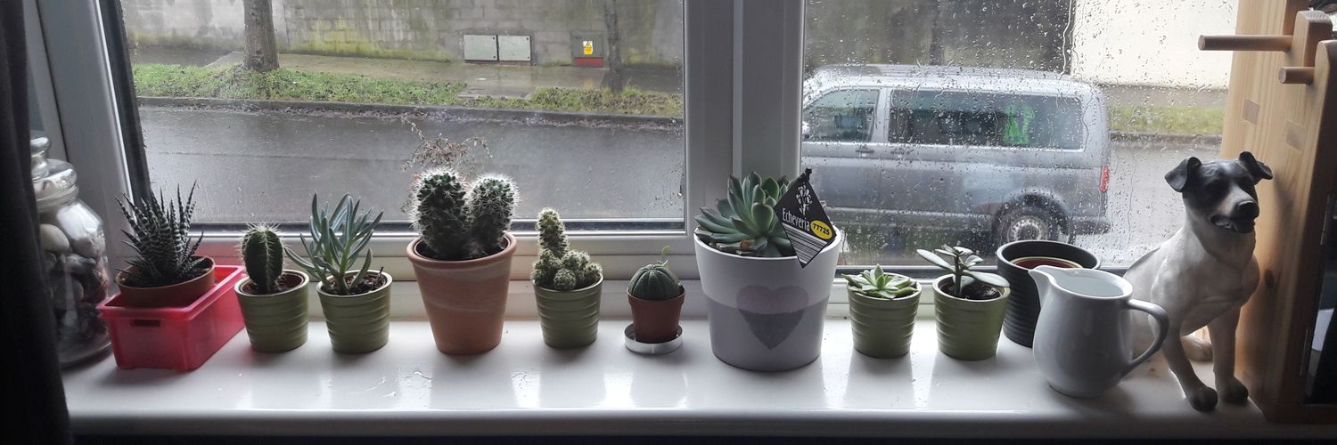 Aoife Ní Nualláin banner