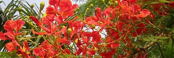 anand_vaidya's profile banner image