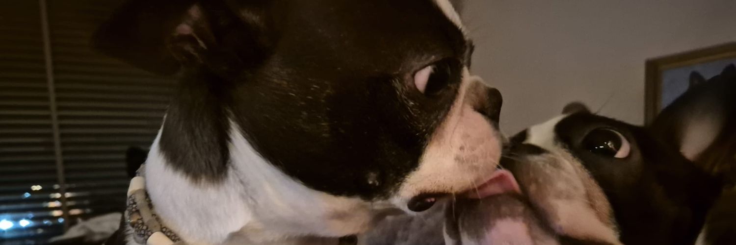 JosieFleur's profile banner image