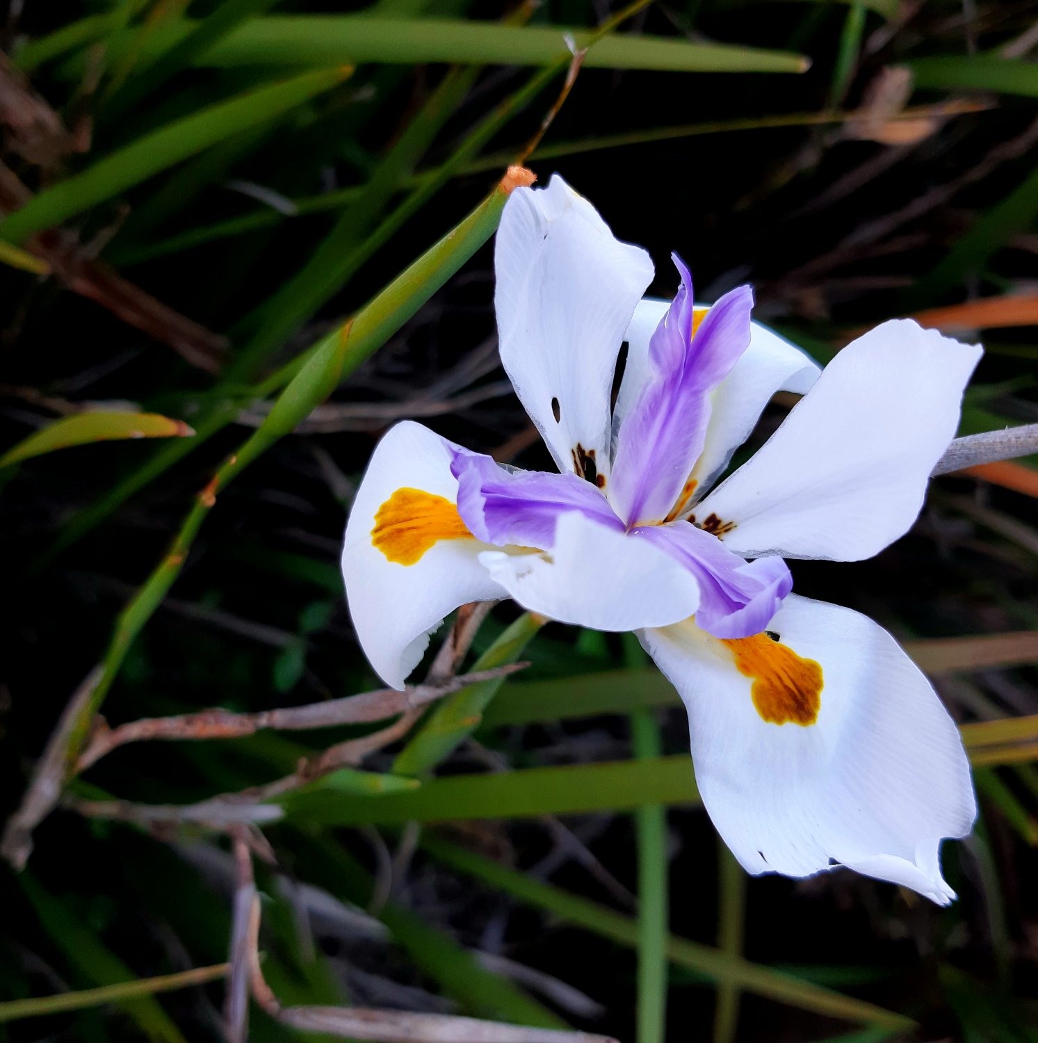 SarahGoodier's profile banner image