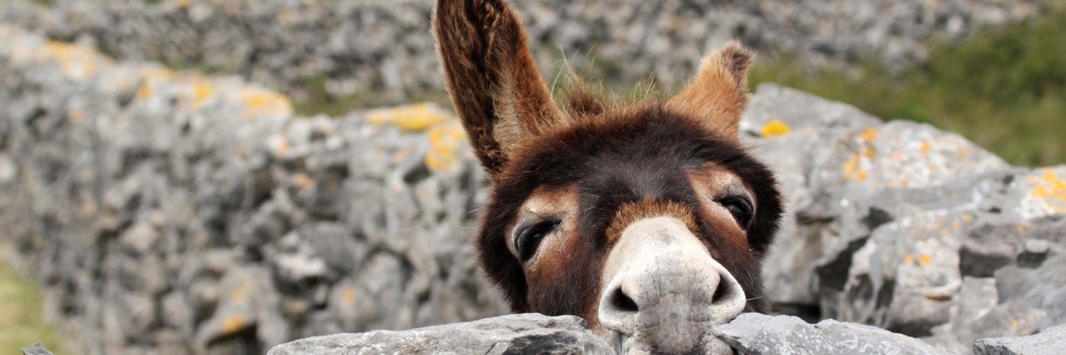 Wrigleys Charities banner