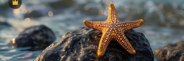 DrCrowder_CFISD Profile Banner