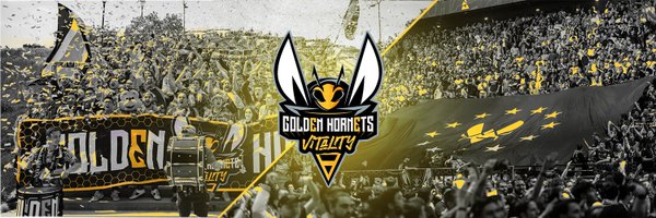🐝 Golden Hornets 🐝 Profile Banner