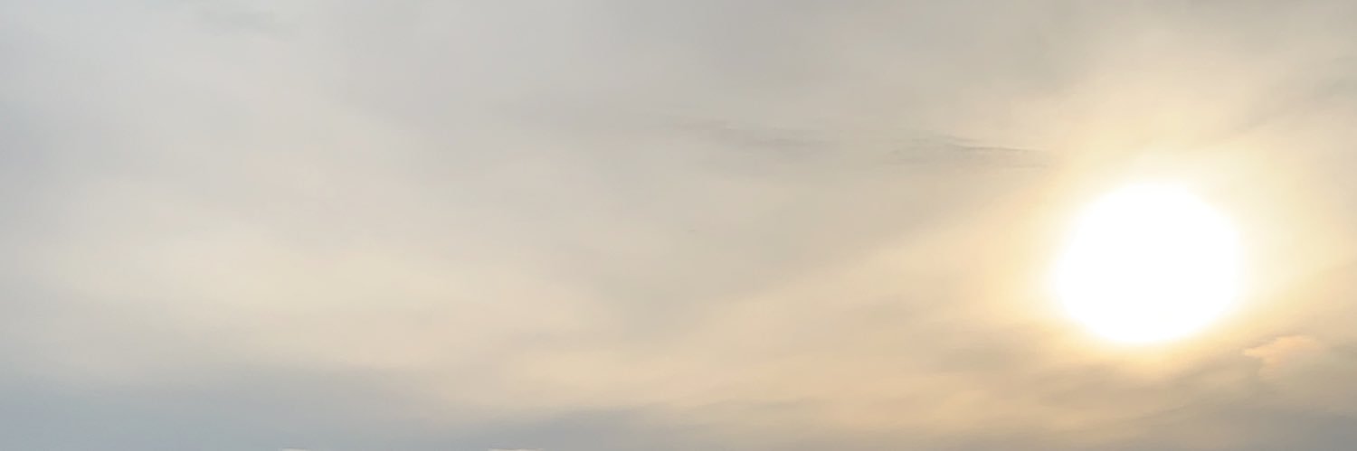 маджести banner