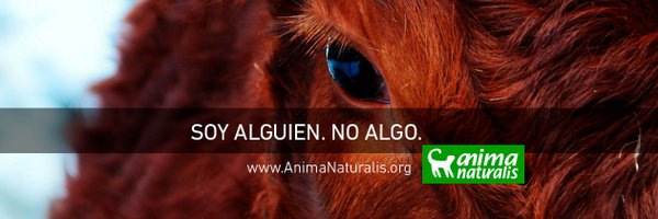 AnimaNaturalis Chile banner