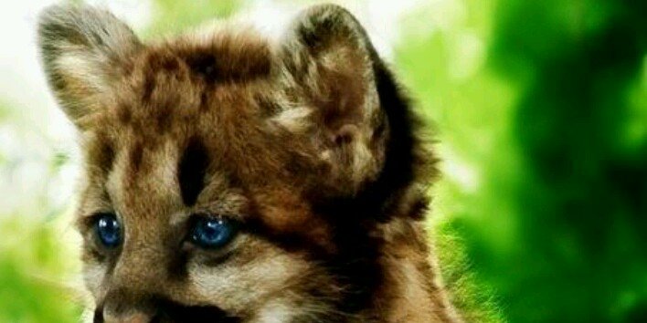 Rachel_GAB's profile banner image