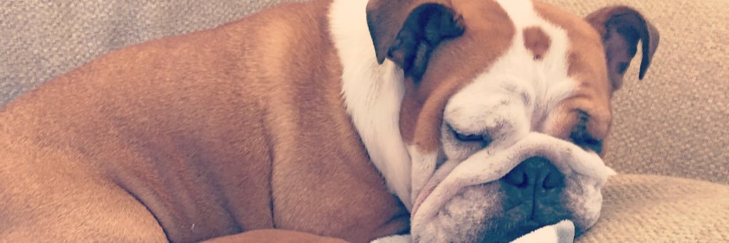 Appdawg97's profile banner image