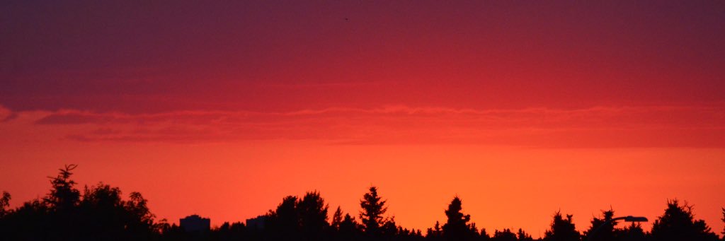 carlama20's profile banner image