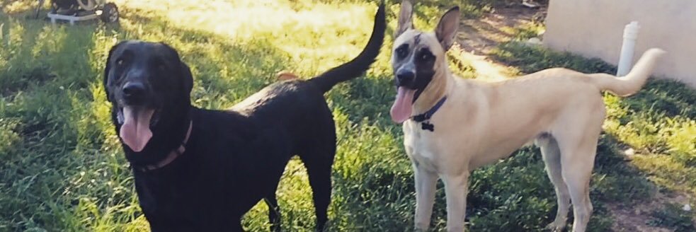 Rachizzzy's profile banner image