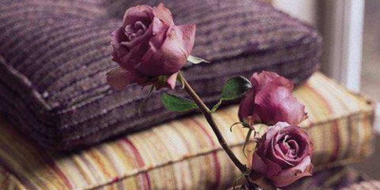 EmyMet90's profile banner image