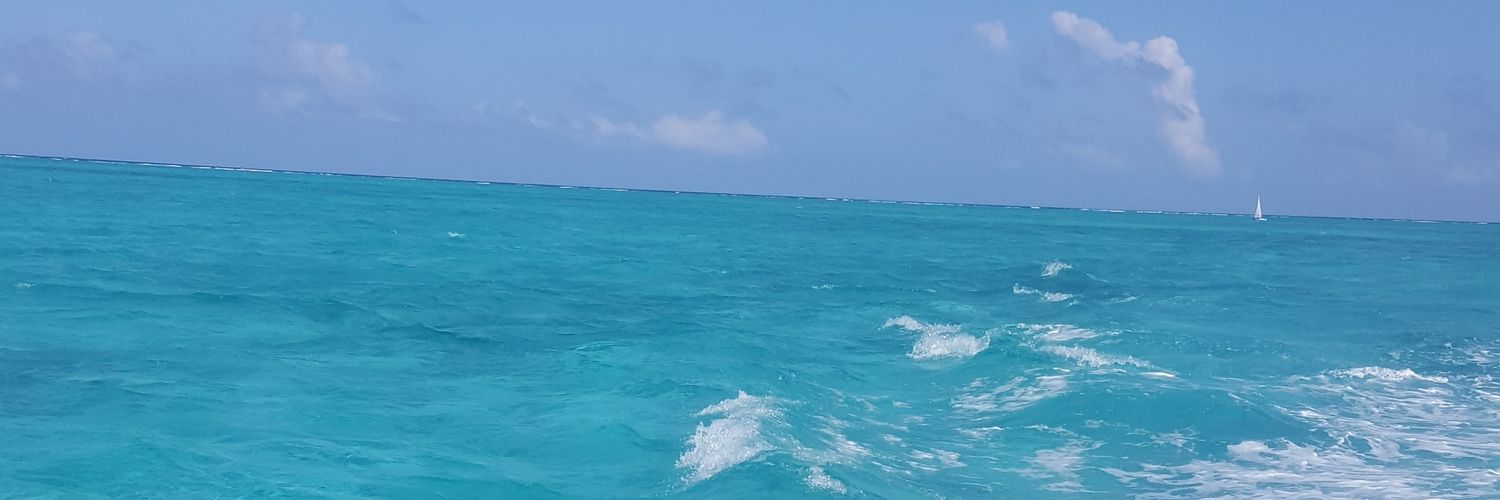 taber_amyramer's profile banner image