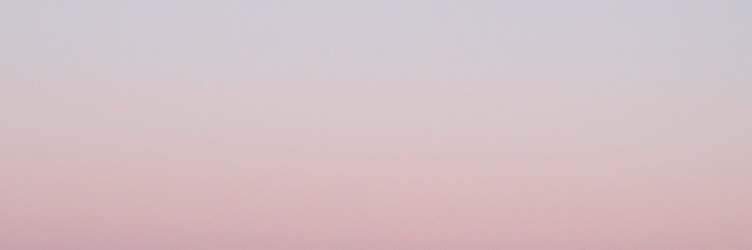 AlisonKleinert's profile banner image