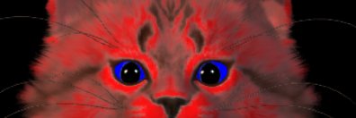 HowlPhilinish banner