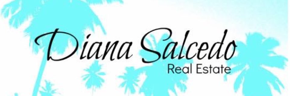 salcedodianare's profile banner image