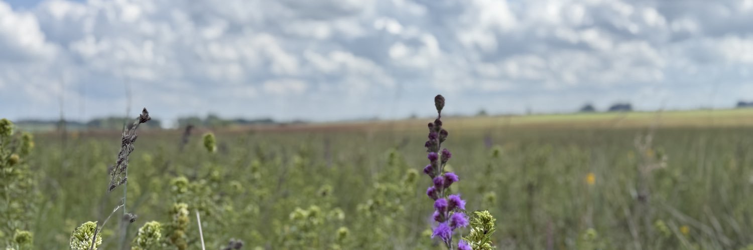 Larissa 🌻 Stanberry banner