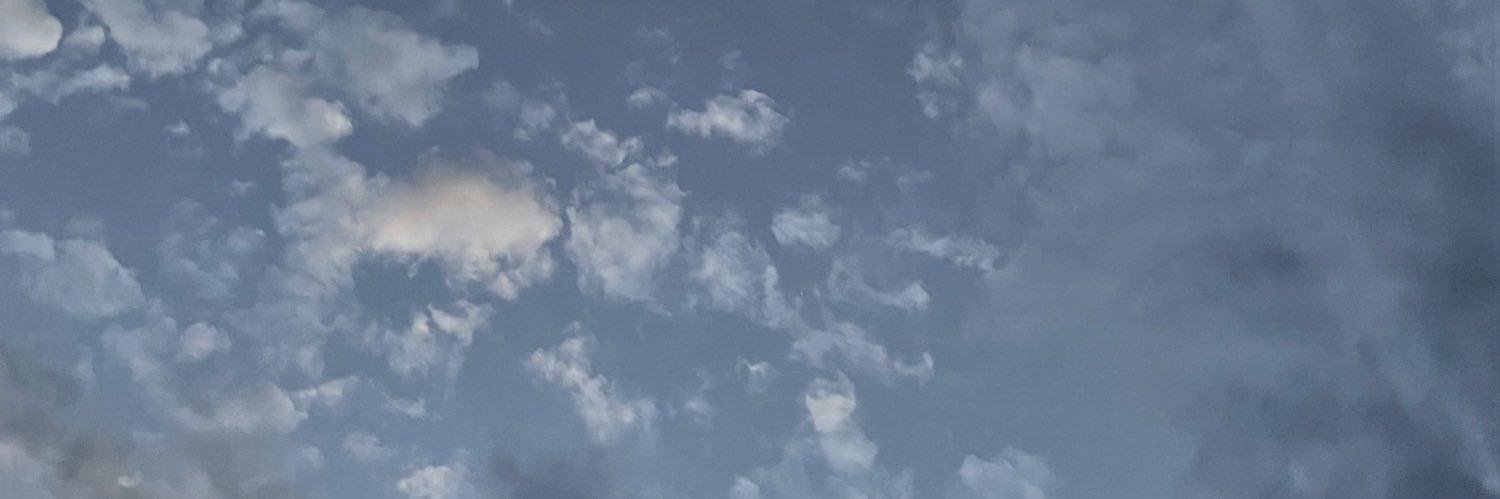 laura_fleckh's profile banner image