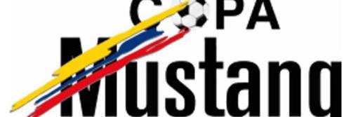 FpcRetro banner