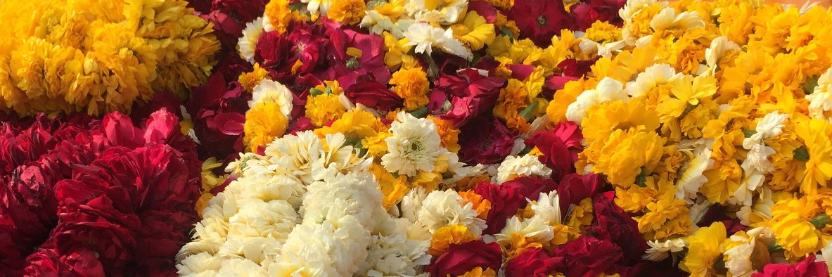 KKMelara's profile banner image