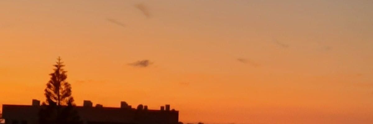 Stephane Piot banner