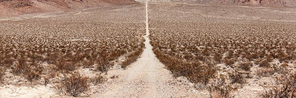 Frederick M. Cohan banner