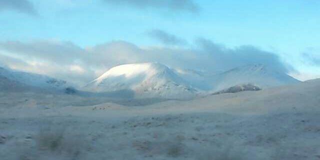 Emily(she/her) banner