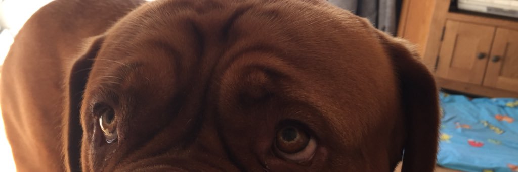 jbrigsy's profile banner image