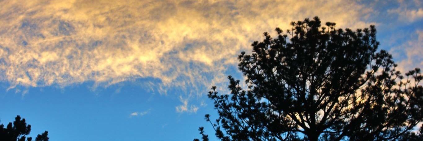 Garrett_Holmes's profile banner image