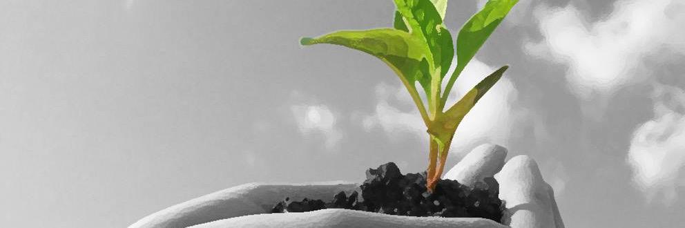 Perry Nouwens banner