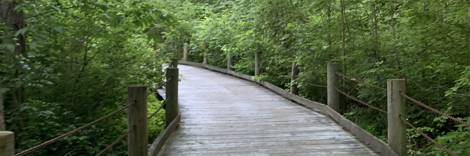 Lisarramirez's profile banner image