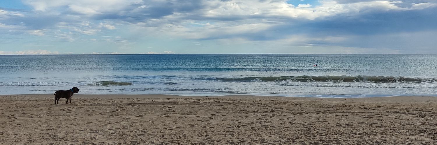 Pablo Sánchez banner