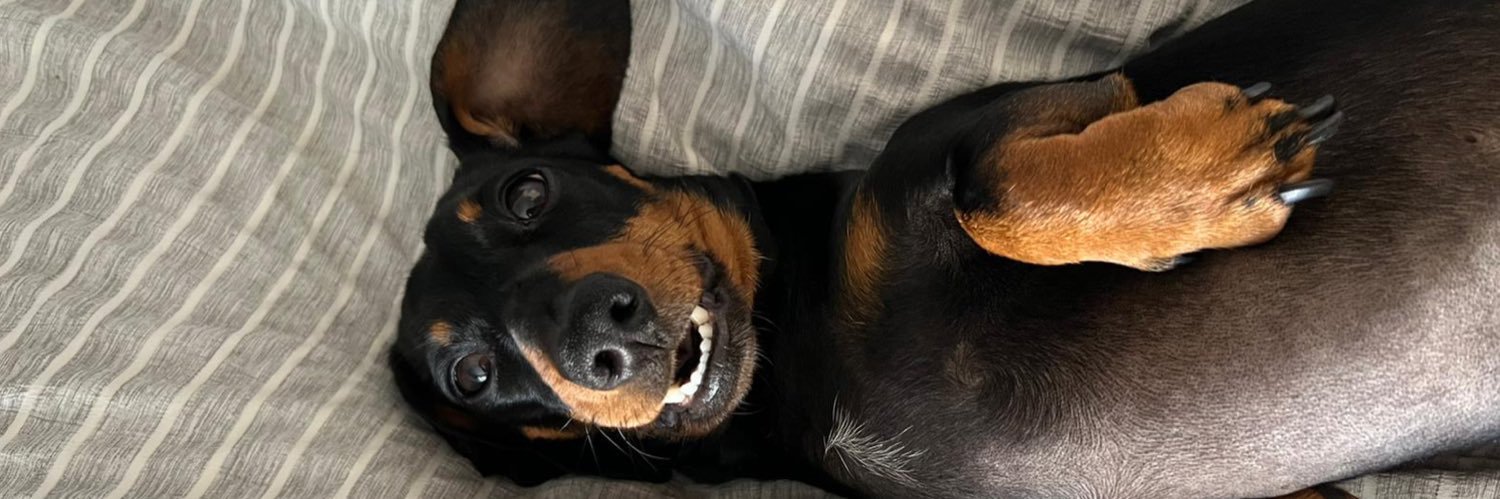 Payne_Charlie's profile banner image