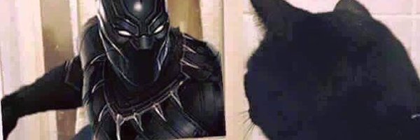veeejzilla Profile Banner