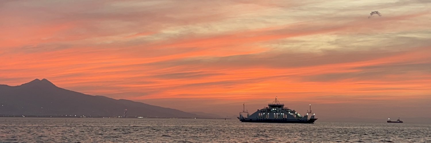 Halitsson's profile banner image