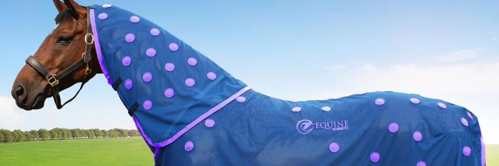 EquineMagnetix's profile banner image