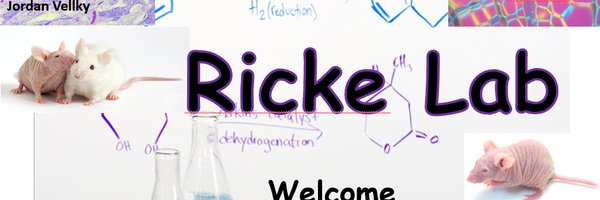 LabRicke Profile Banner
