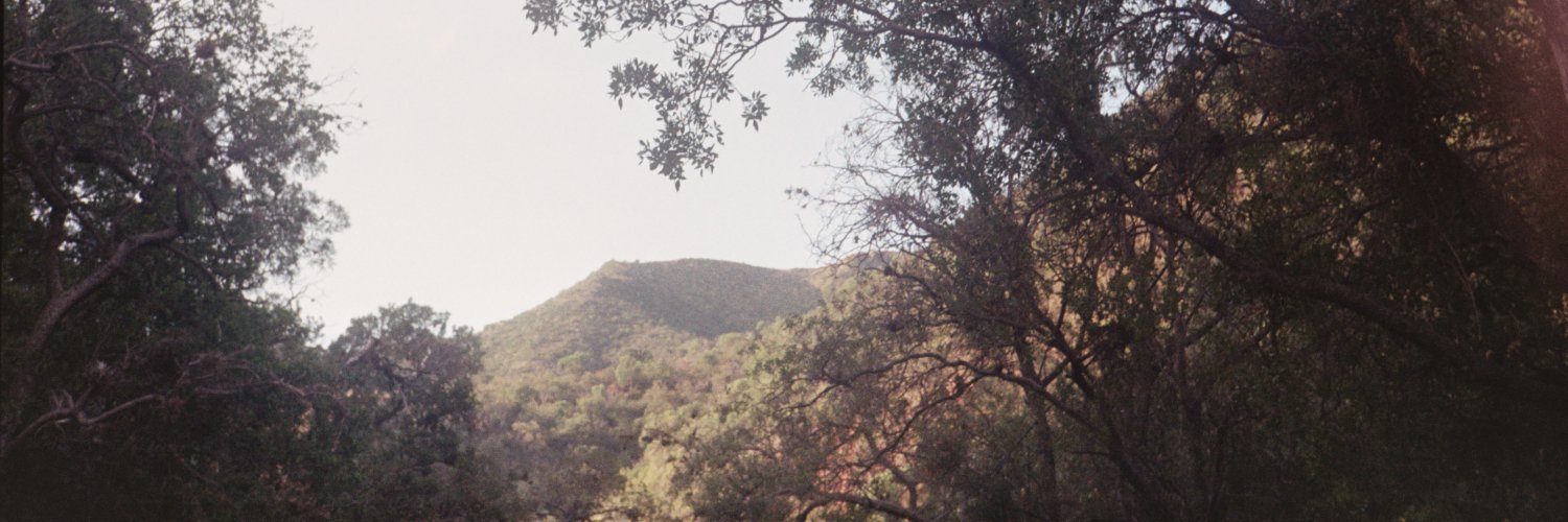 __mmaf's profile banner image