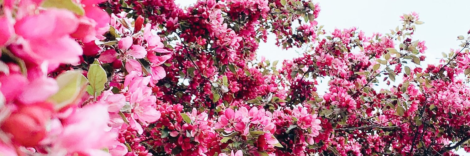 JemicahColleen's profile banner image