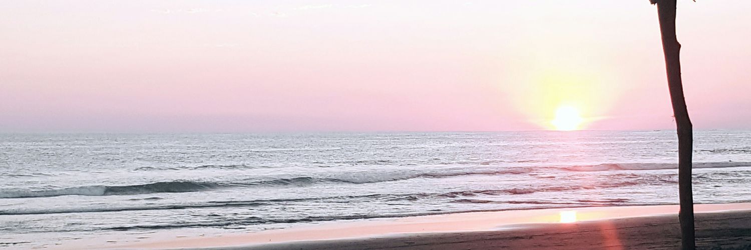 ToxicaFox's profile banner image