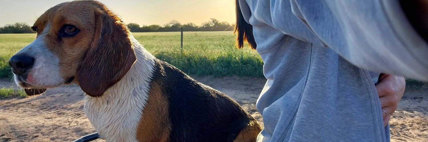 abrilpatu's profile banner image