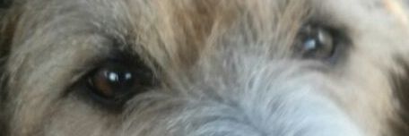Pilar2L's profile banner image
