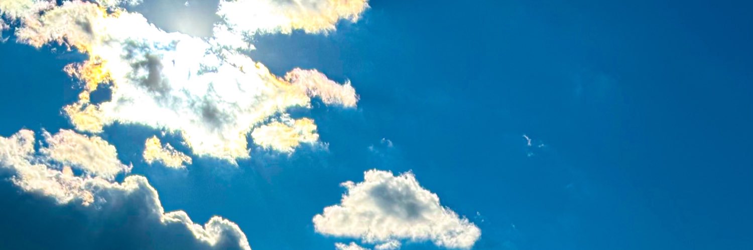 SurfyTheWave's profile banner image