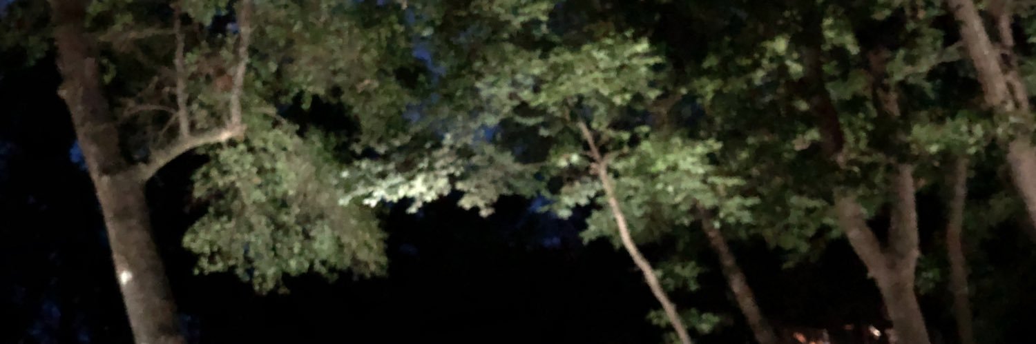 BamaTurf's profile banner image