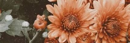 SaryPablo's profile banner image