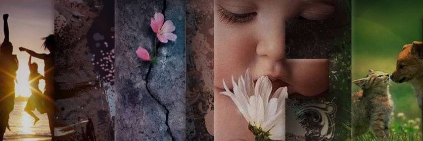 بـوح أبـي banner