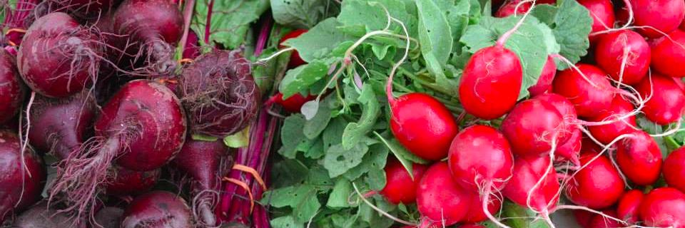 AnnetteV_Market's profile banner image