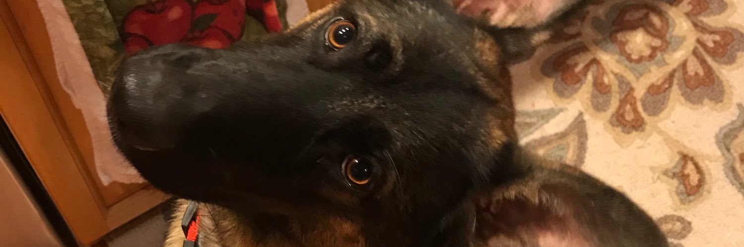 casssidycox's profile banner image
