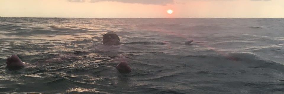 clydrex22's profile banner image