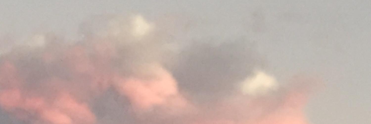 ArianeBicho's profile banner image